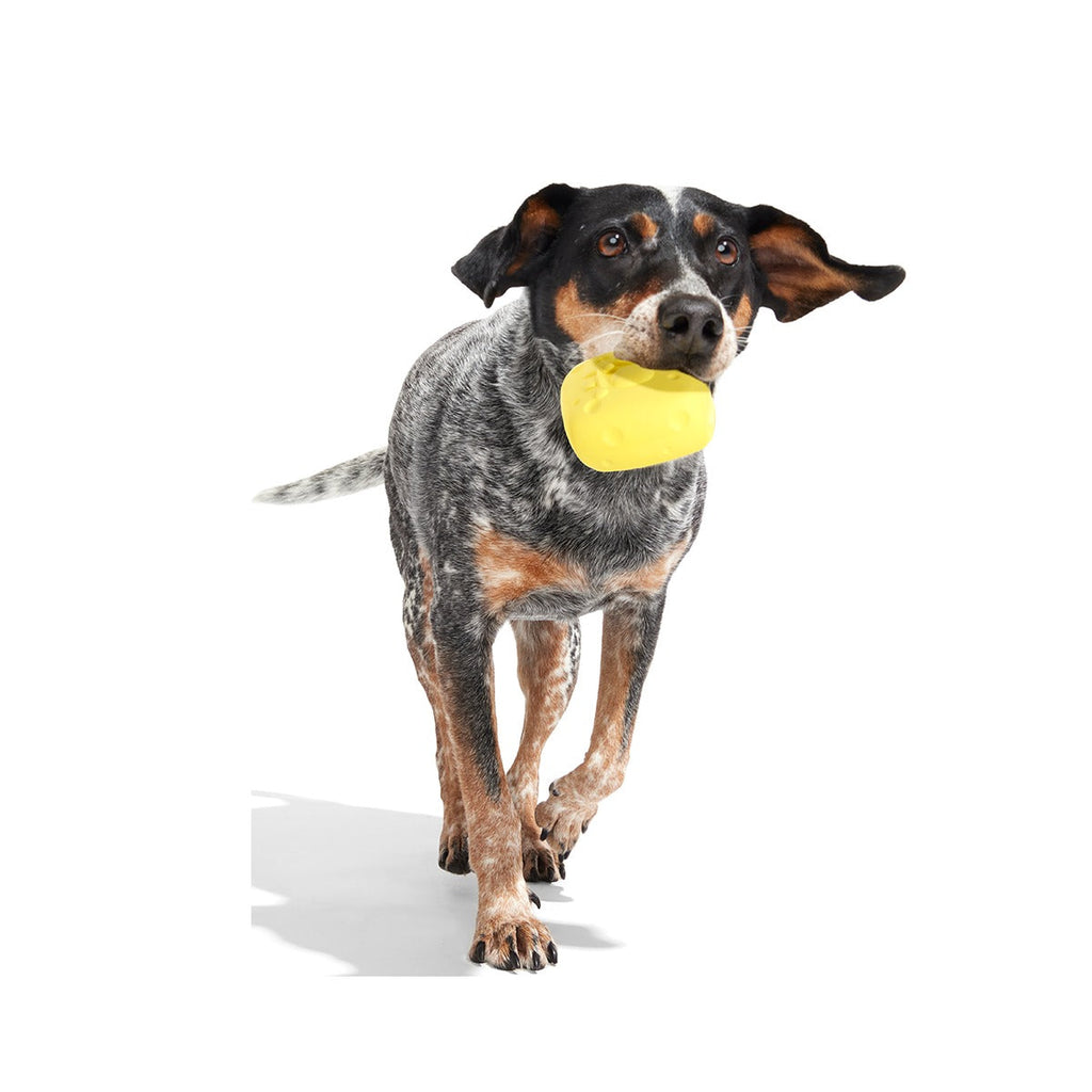 SpongeBob SqueakPants Super Chewer Durable Fetch Dog Toy