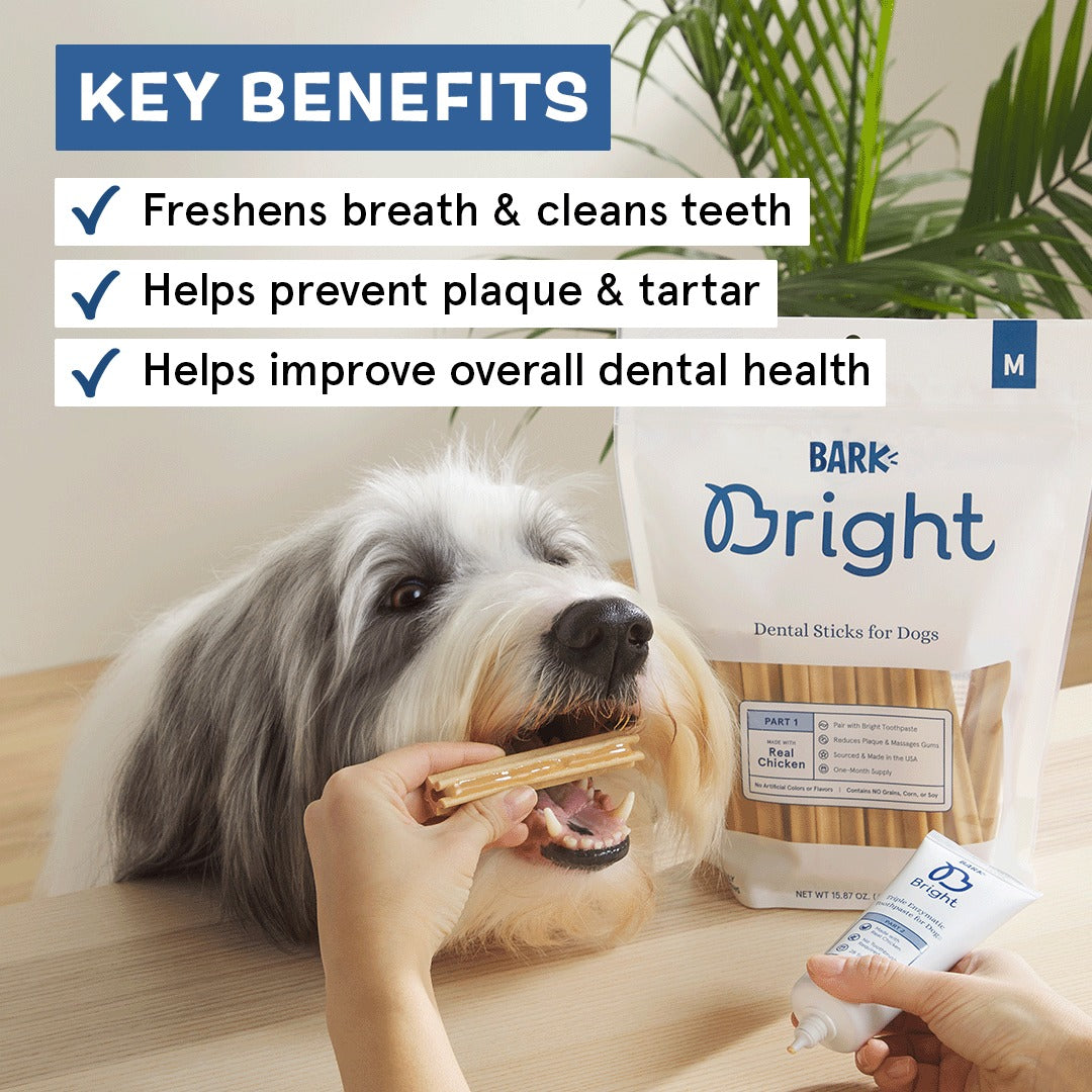 Bright Original Dental Kit, 30 Ct Chews + Toothpaste