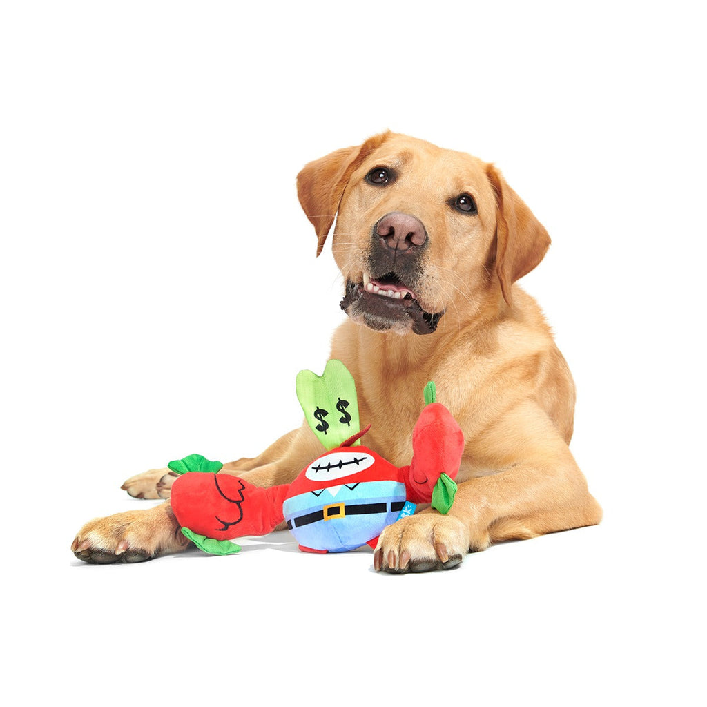 Money-Tugging Mr. Krabs Plush Tug Dog Toy