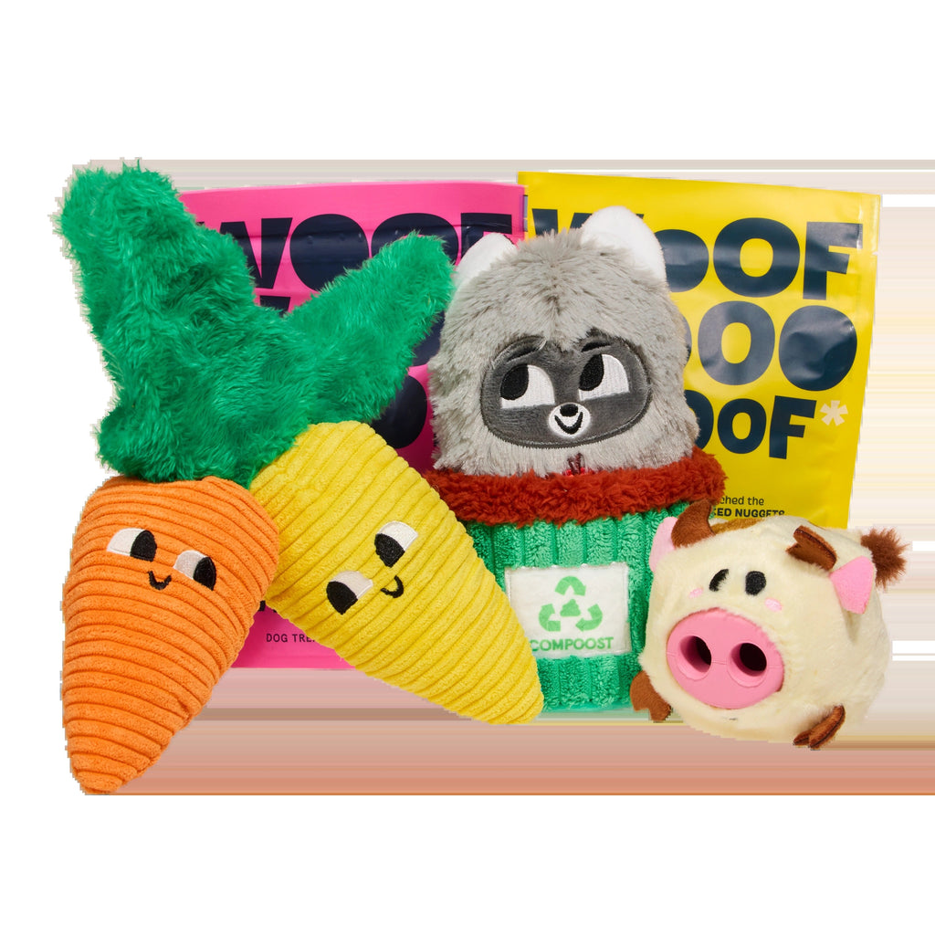 BARK 6 Month Subscription - FREE Extra Treats