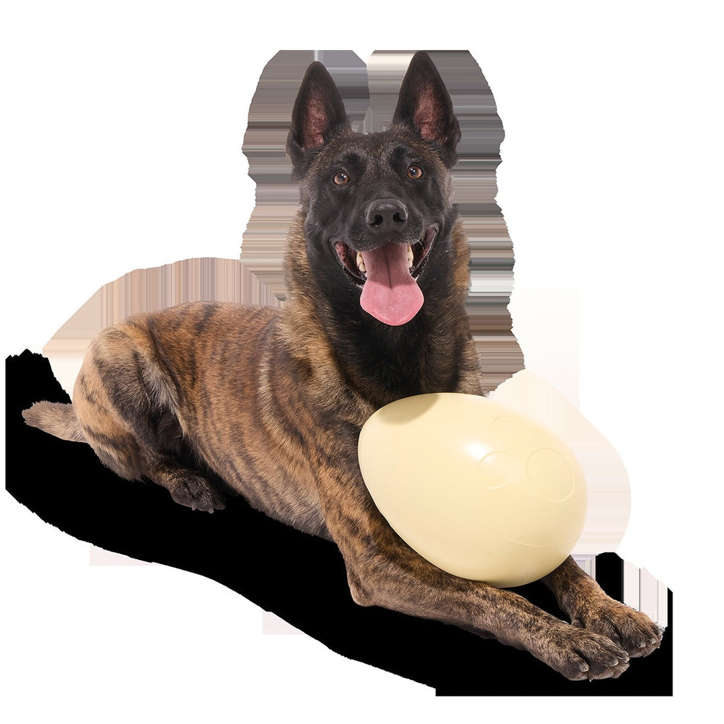 Dinosaur Egg Super Chewer Durable Extra-Large + Fetch Dog Toy