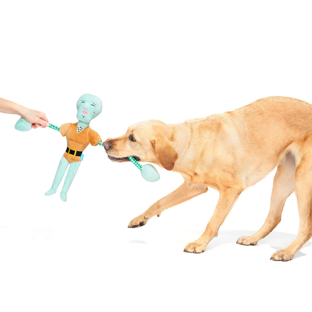 Handsome Squidward Plush Extra-Large + Tug Dog Toy