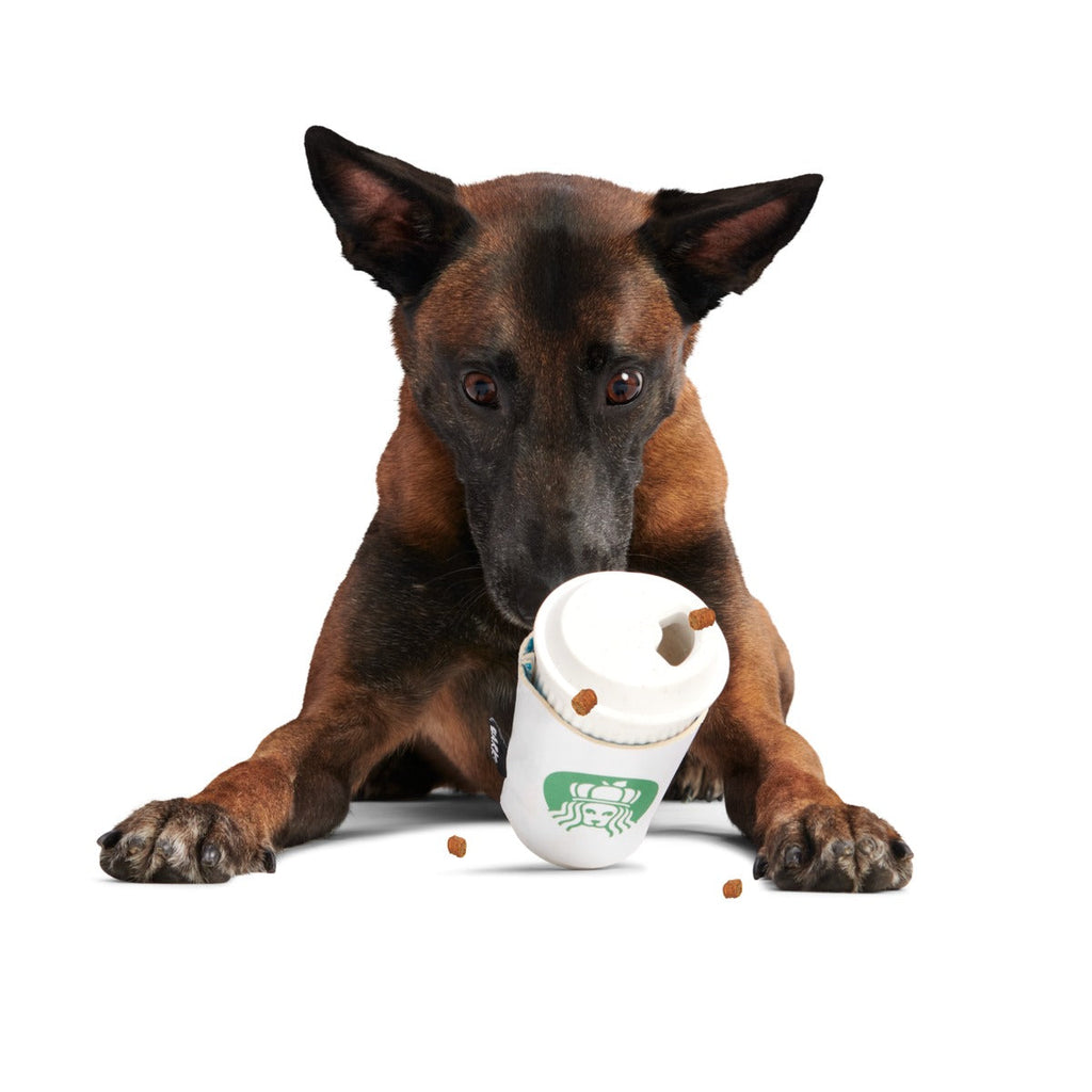 Pupkin Spice Yappuccino Durable Super Chewer 2-in-1 Rip and Reveal + Enrichment Dog Toy