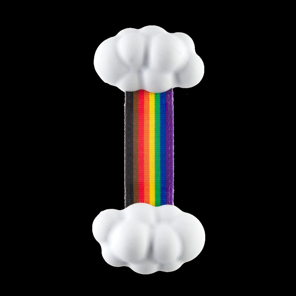Proud Pup Rainbow Super Chewer Durable Tug Dog Toy