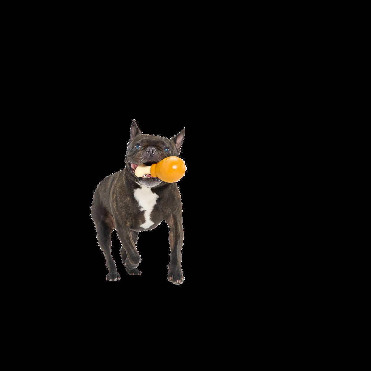 Turkey Day Drumstick Durable Super Chewer Gnaw Dog Toy