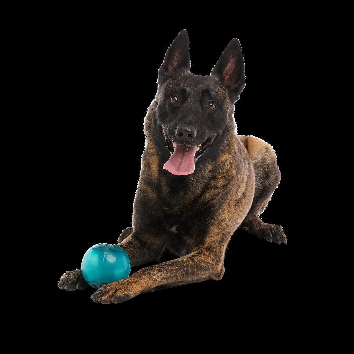 Teal Vortex Durable Super Chewer Enrichment + Fetch Dog Toy