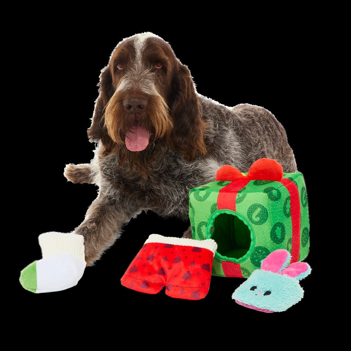 Holly Day's Presents Plush Extra-Large + Multi-Part + Enrichment Dog Toy
