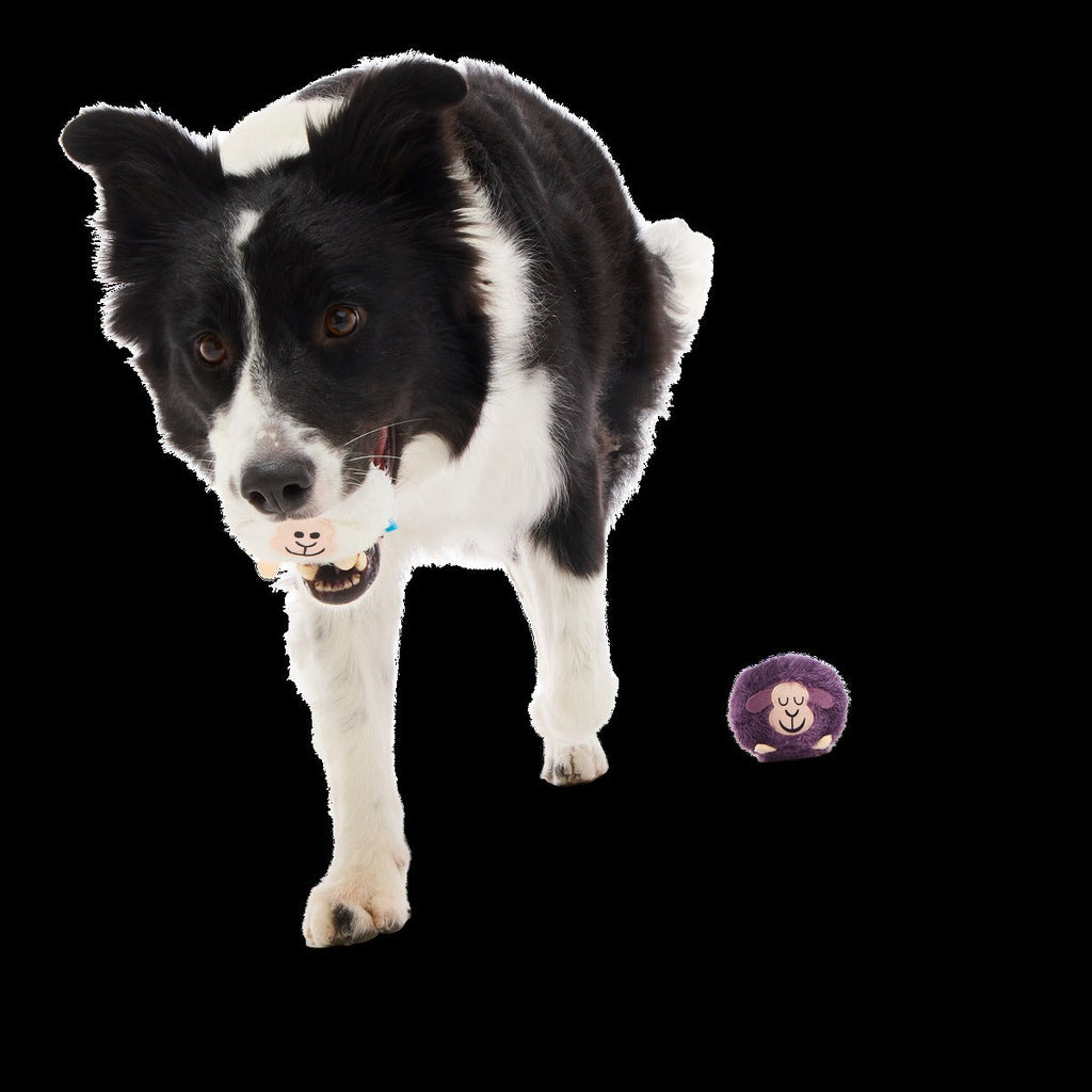 Good Sheep, Baa Sheep Plush Multi-Part Fetch Dog Toy