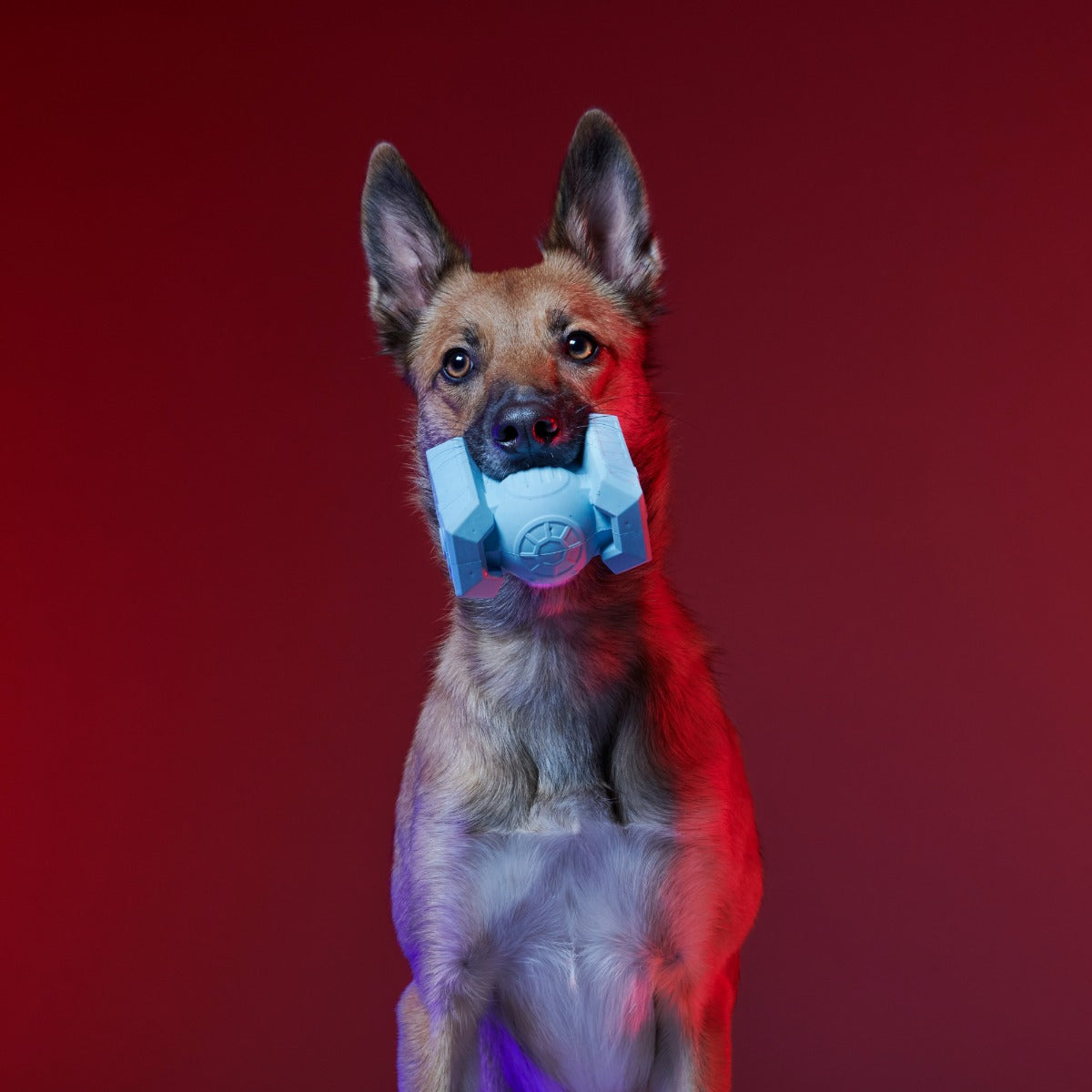 TIE FighterTM Biter Super Chewer Durable Fetch + Gnaw Dog Toy