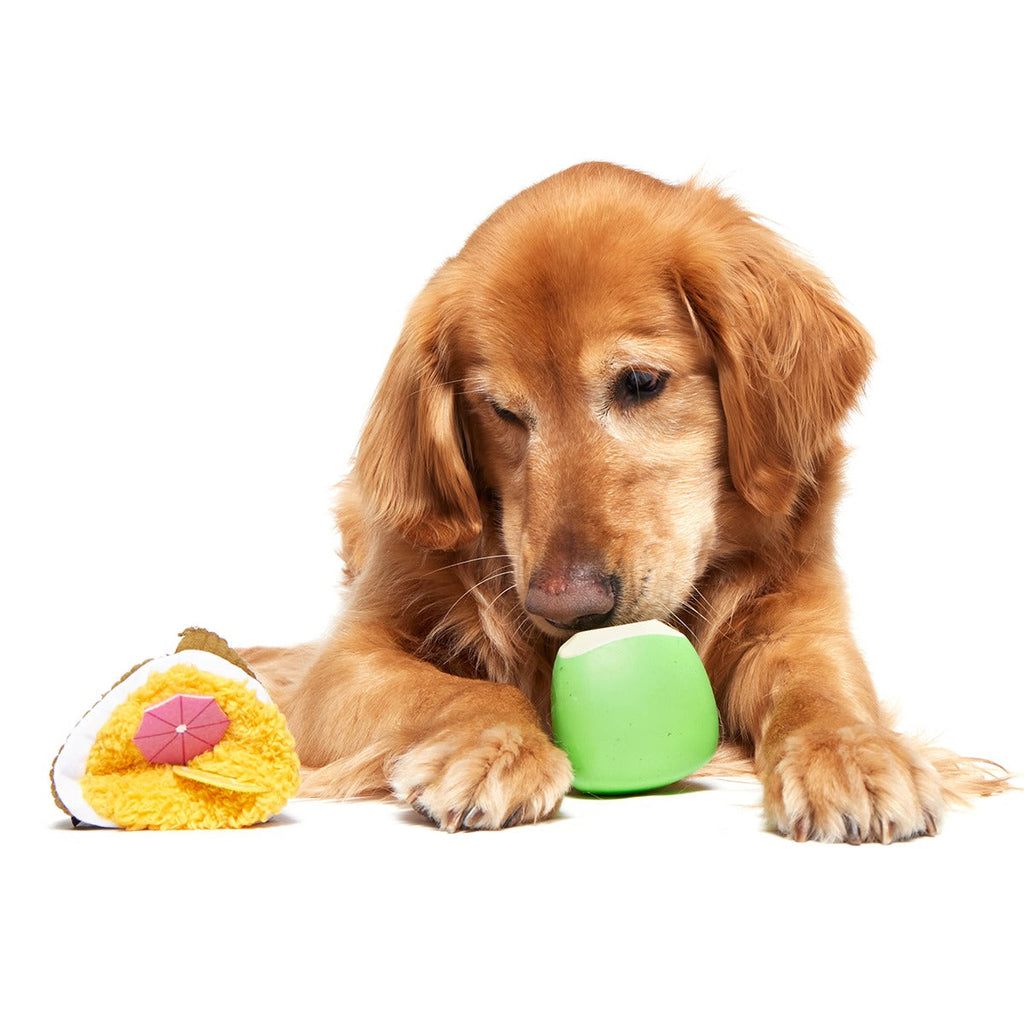 Coco-Mutt Cocktail Super Chewer Durable 2-in-1 Fetch + Enrichment Dog Toy