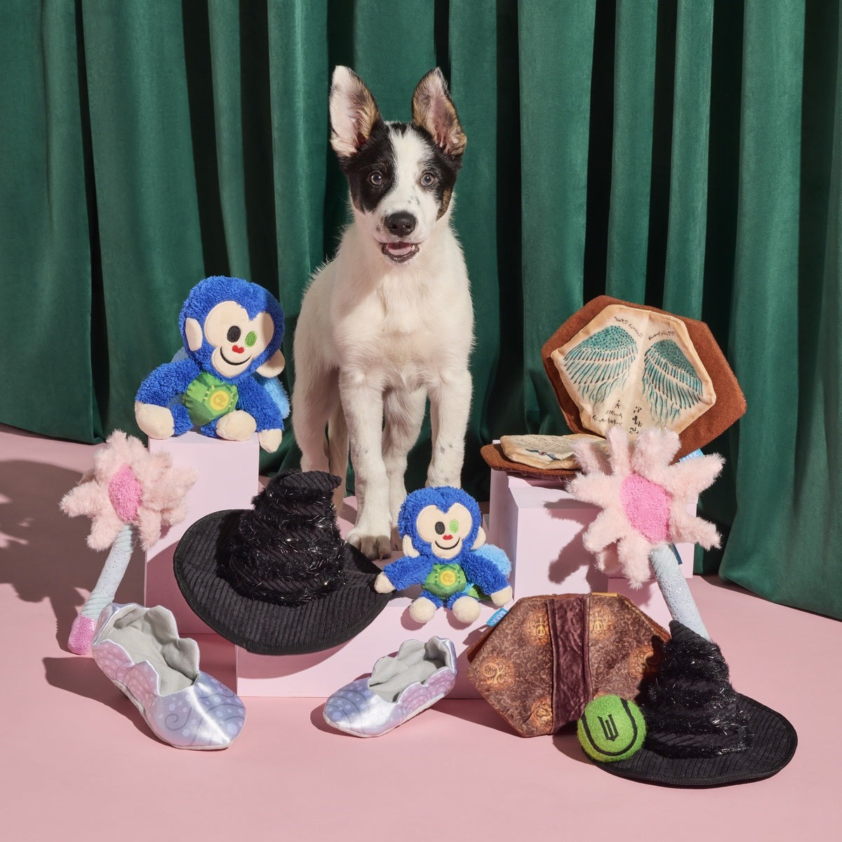 Elphaba's Ozdust Hat Plush 2-in-1 + Fetch Dog Toy