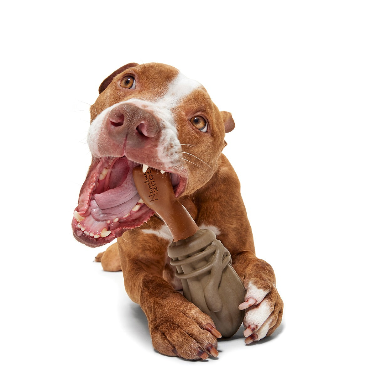 Nimbus 2000TM Durable Super Chewer Tug + Gnaw Dog Toy