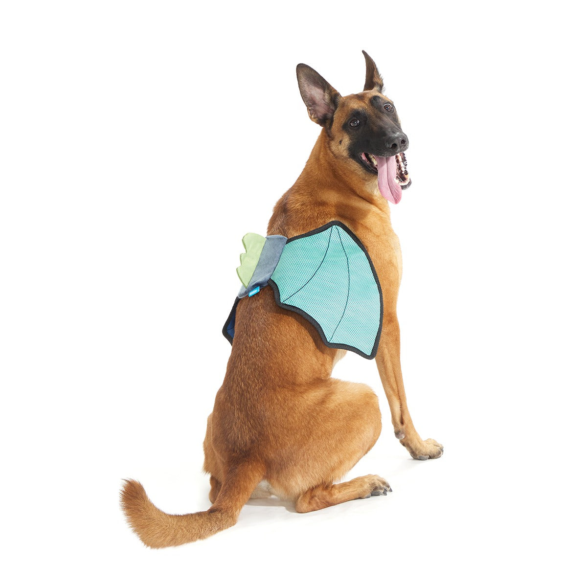 Doggo Dragon Wings Costume + Wearable Dog Toy