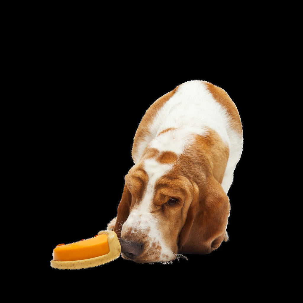 Powered Up Pie Durable Super Chewer Gnaw Dog Toy