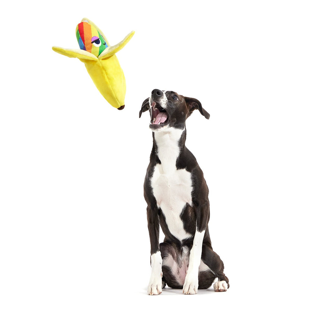 Top Banana Plush Multi-Part Dog Toy