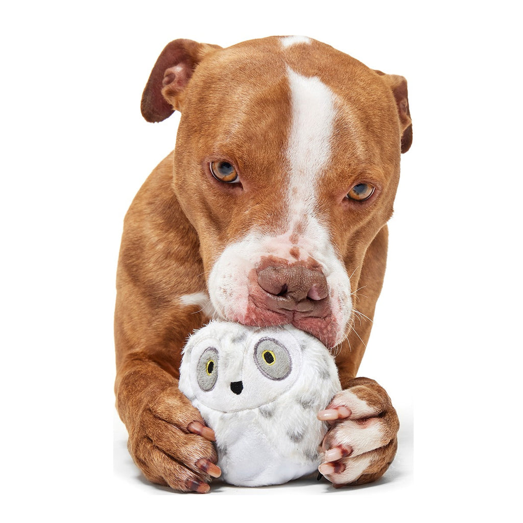 HedwigTM the Owl Super Chewer Durable 2-in-1 + Fetch Dog Toy