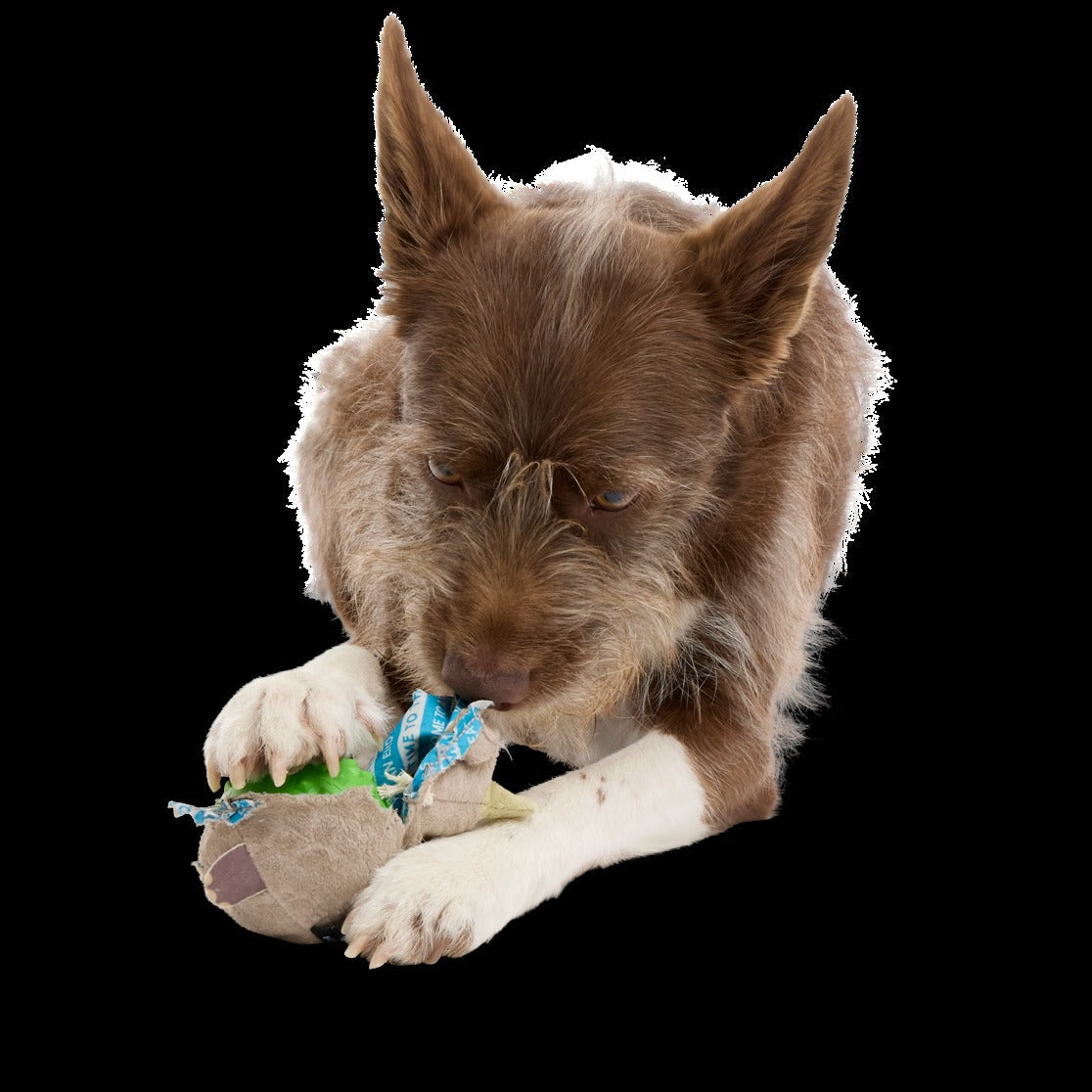 Ryan Ocerus Durable Super Chewer 2-in-1 Rip and Reveal + Fetch Dog Toy