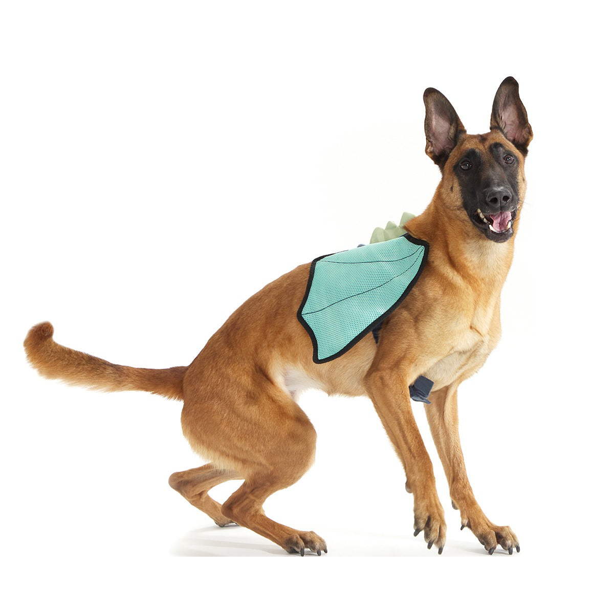 Doggo Dragon Wings Costume + Wearable Dog Toy