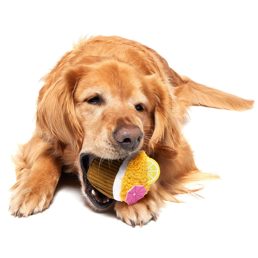 Coco-Mutt Cocktail Super Chewer Durable 2-in-1 Fetch + Enrichment Dog Toy