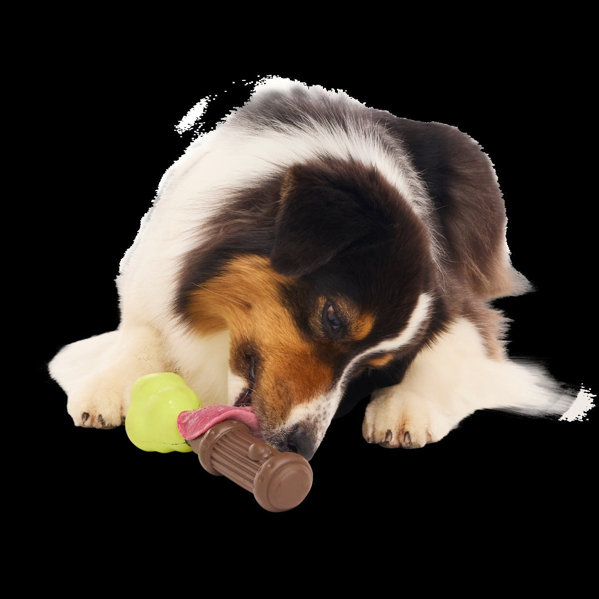 Harry's BogeyTM Wand Super Chewer Durable Gnaw Dog Toy