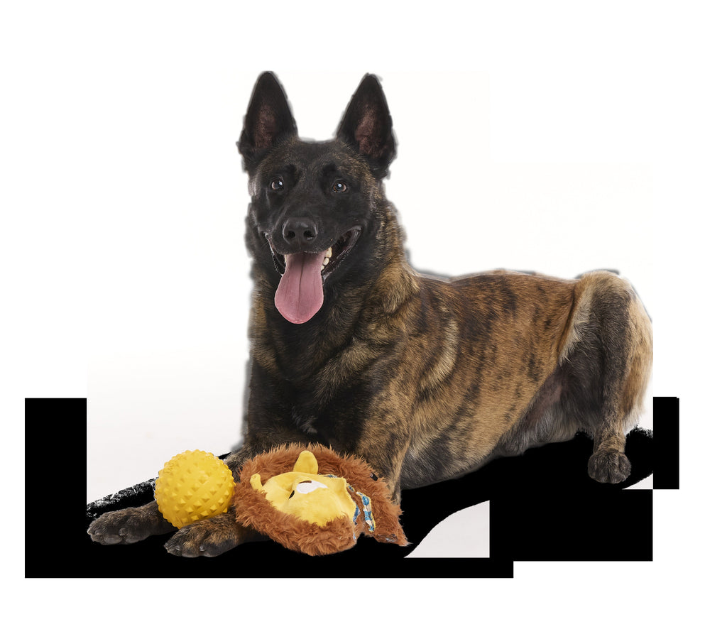 Lionel Lion Durable Super Chewer 2-in-1 Rip and Reveal + Fetch Dog Toy