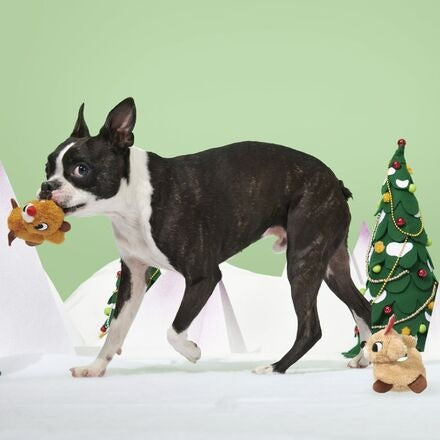 Rudolph® & ClariceTM Plush Multi-Part Dog Toy