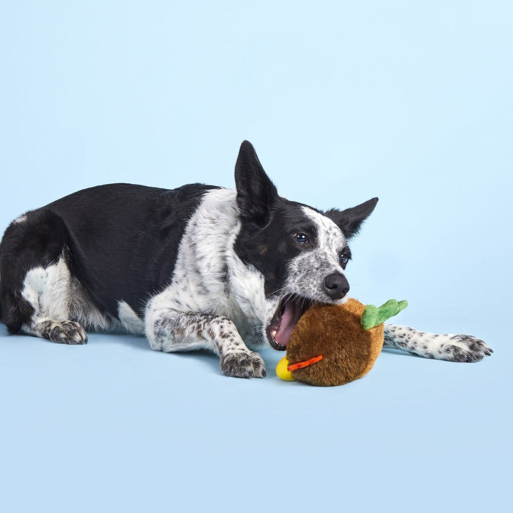 Fowl Play Durable Super Chewer 2-in-1 Rip and Reveal + Enrichment Dog Toy