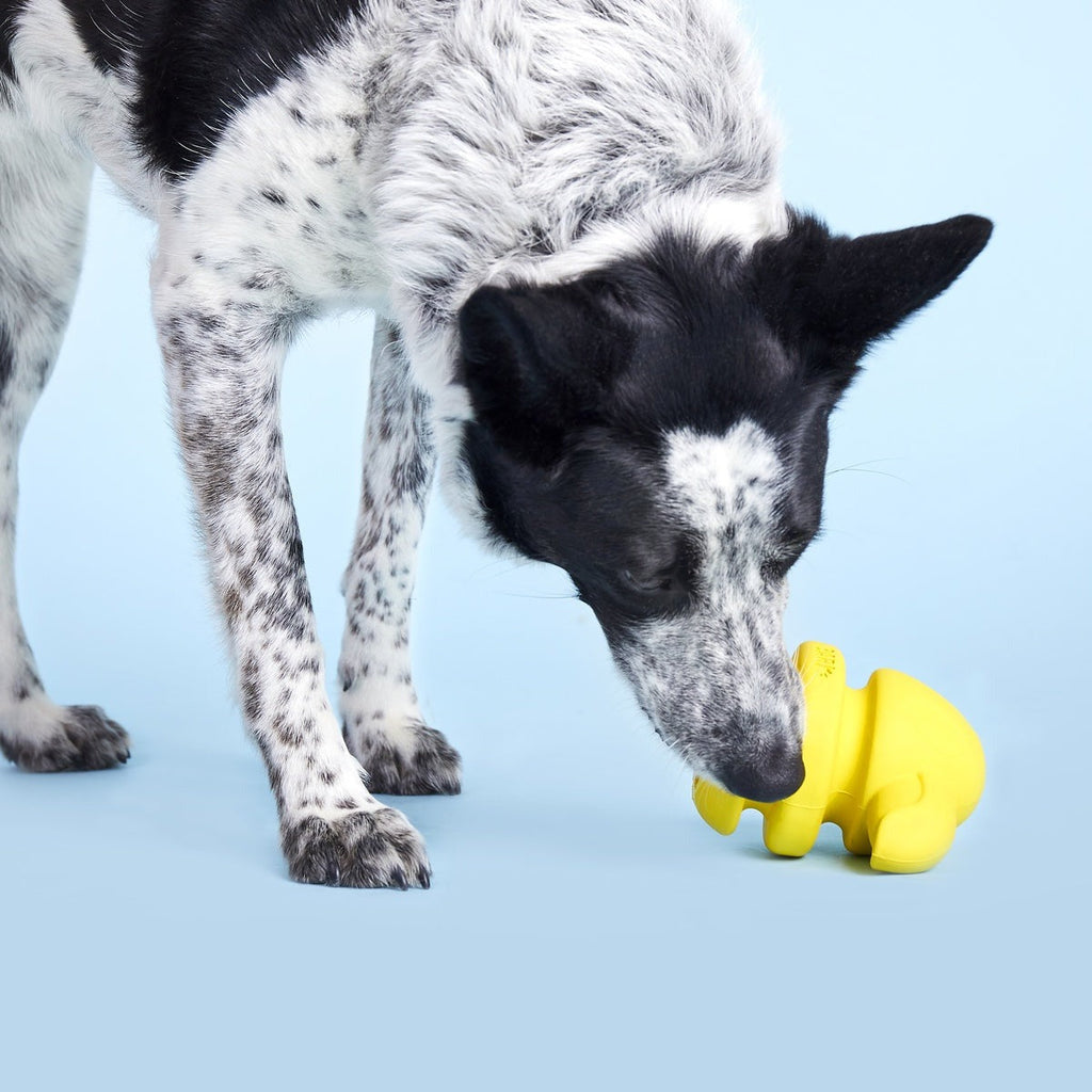 Fowl Play Durable Super Chewer 2-in-1 Rip and Reveal + Enrichment Dog Toy