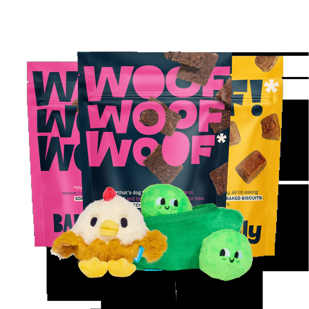 BARK 6 Month Subscription - FREE Extra Treats