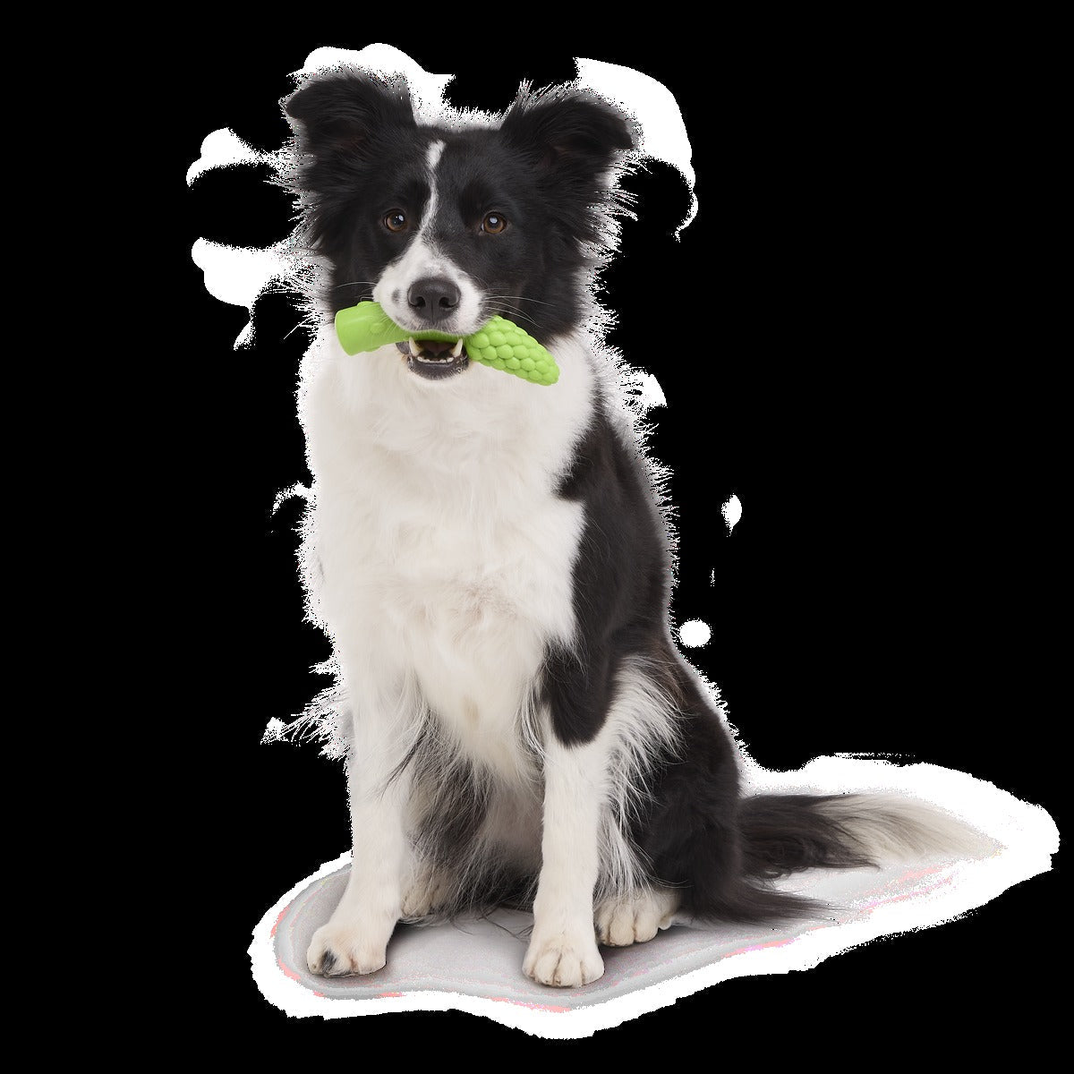 Aspupagus Super Chewer Durable Gnaw Toy
