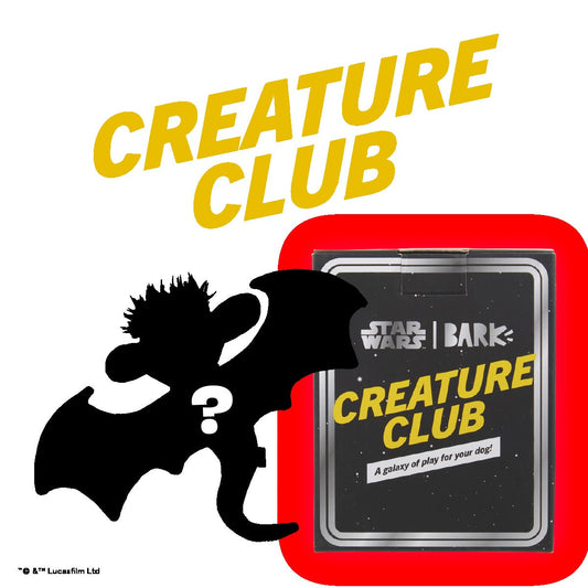 Star WarsTM Creature Club, Plush Monthly Dog Toys