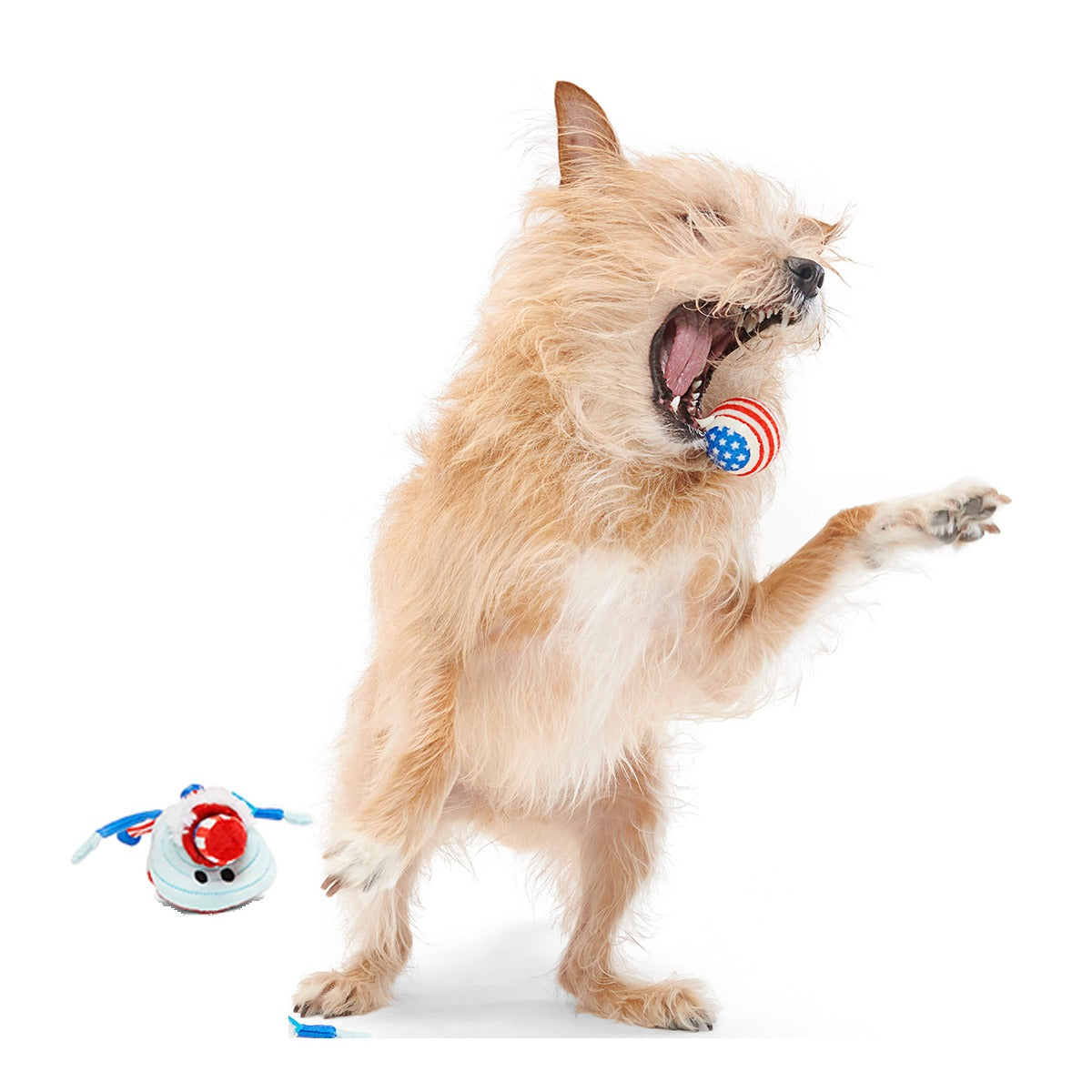 Uncle Clam Plush Multi-Part + Fetch Dog Toy