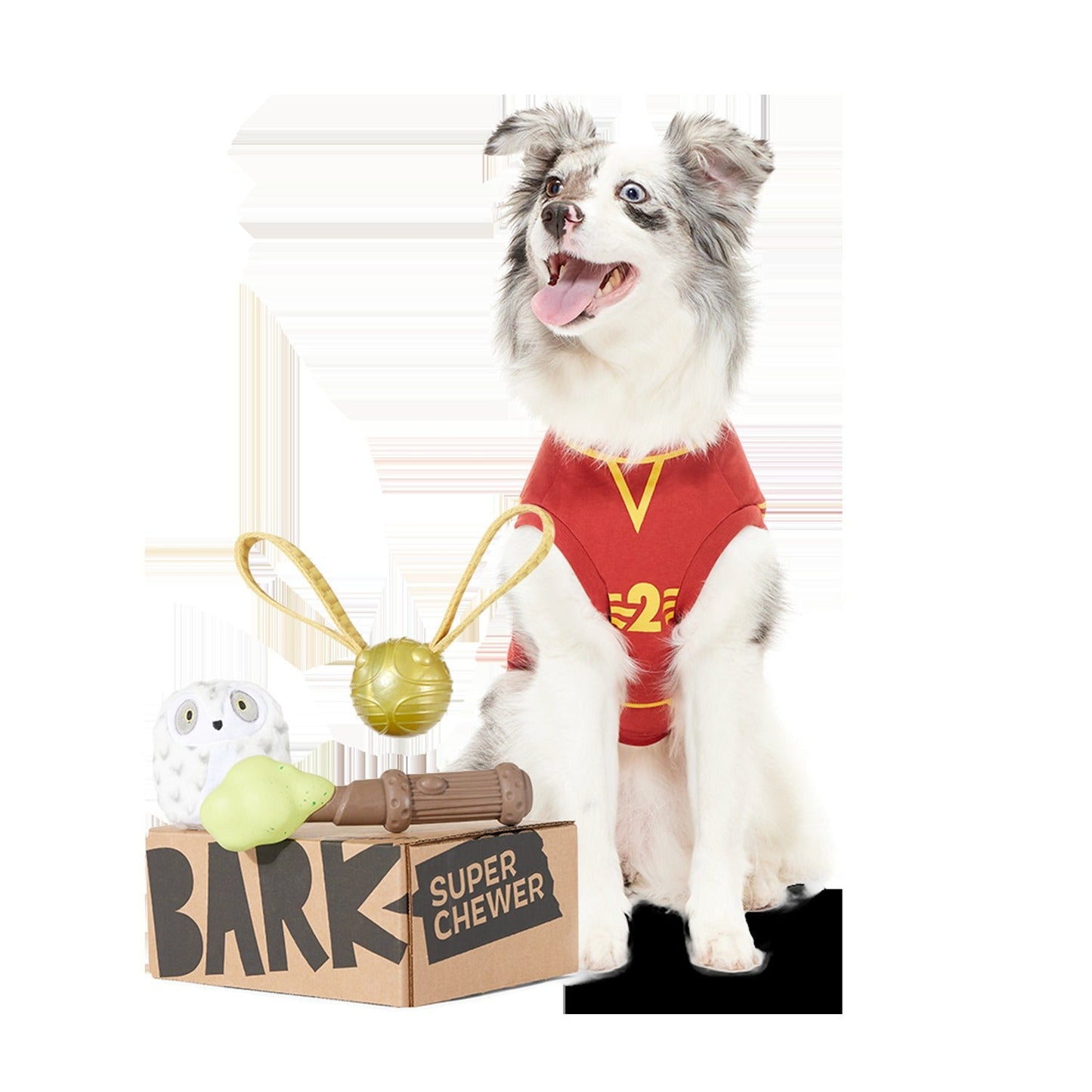 BARK 6 Month Subscription - Harry Potter First Box
