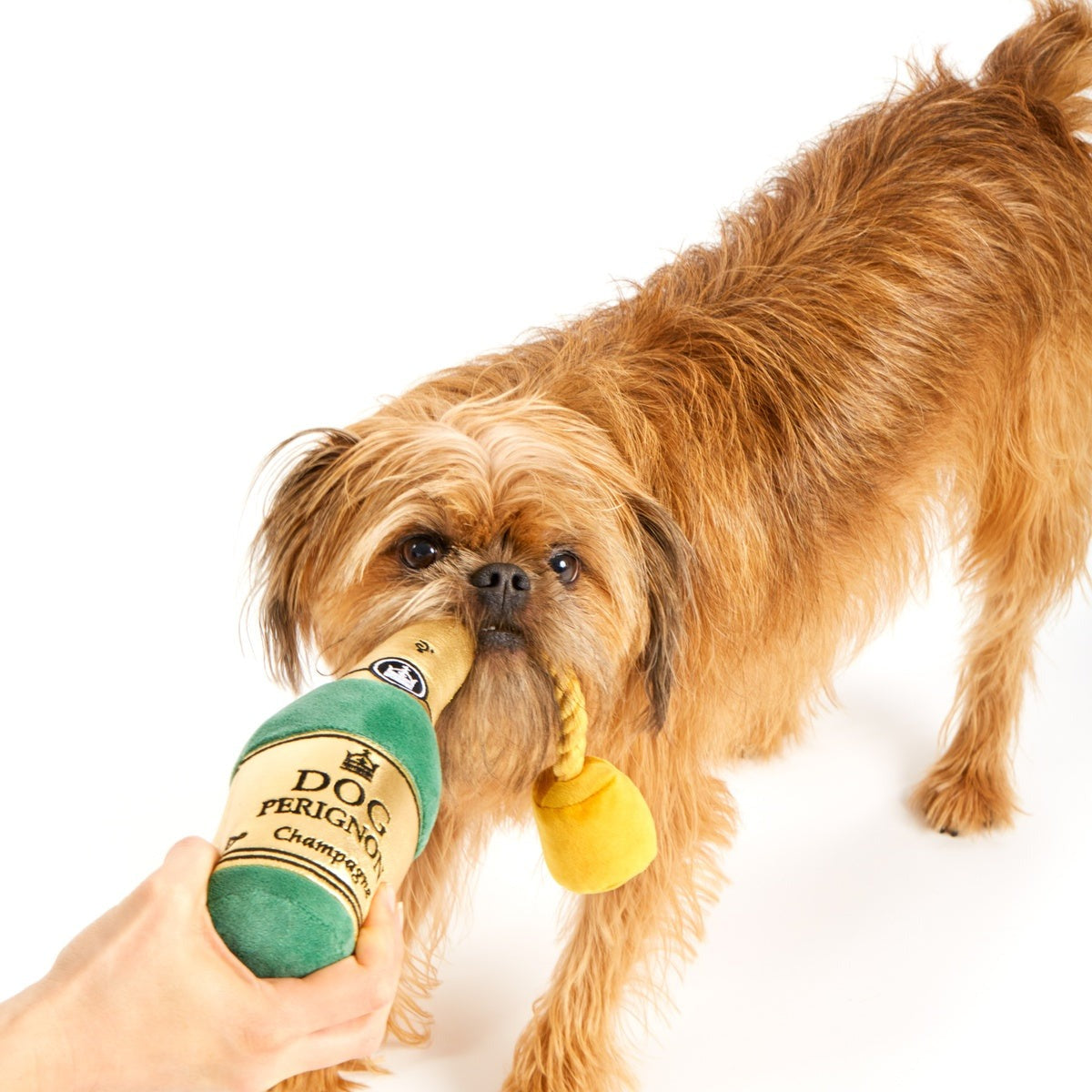 Dog Perignon Plush Tug Dog Toy
