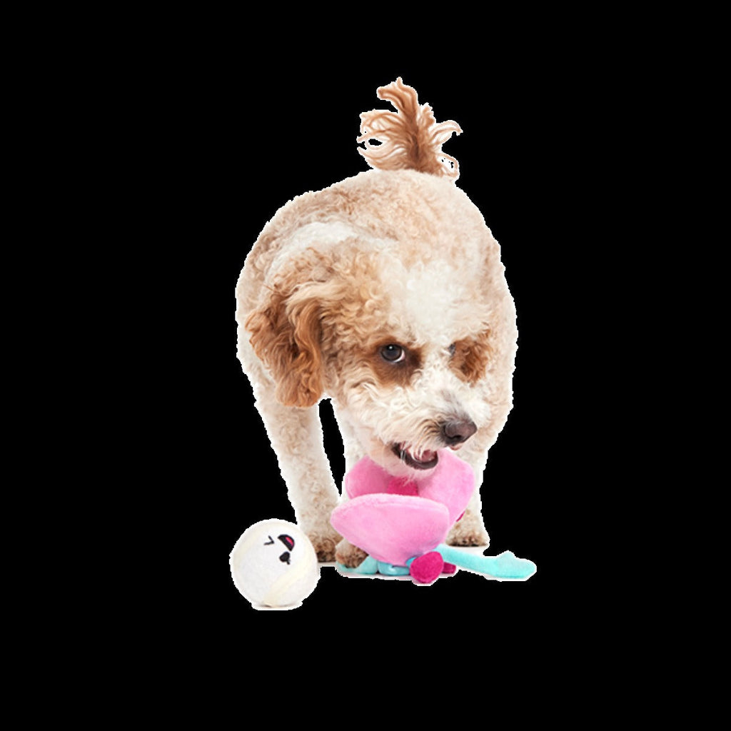 Clamantha Plush Multi-Part + Fetch Dog Toy