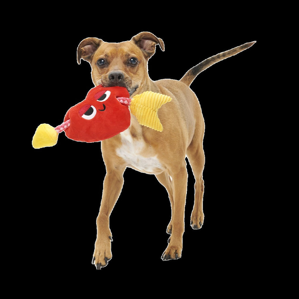 Heart Throbert Plush Tug Dog Toy