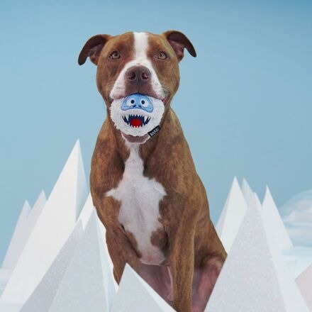 Ruff n' Tumble BumbleTM Durable Super Chewer 2-in-1 Rip and Reveal Dog Toy