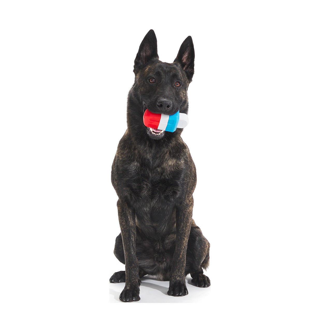 Red White + Chew Pupsicle Super Chewer Durable Gnaw Dog Toy