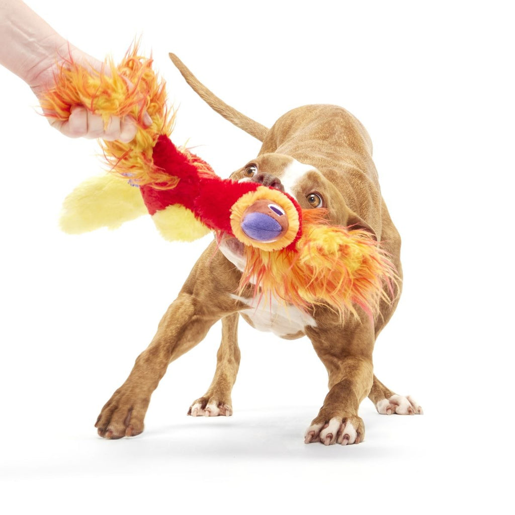 FawkesTM Plush Tug Dog Toy