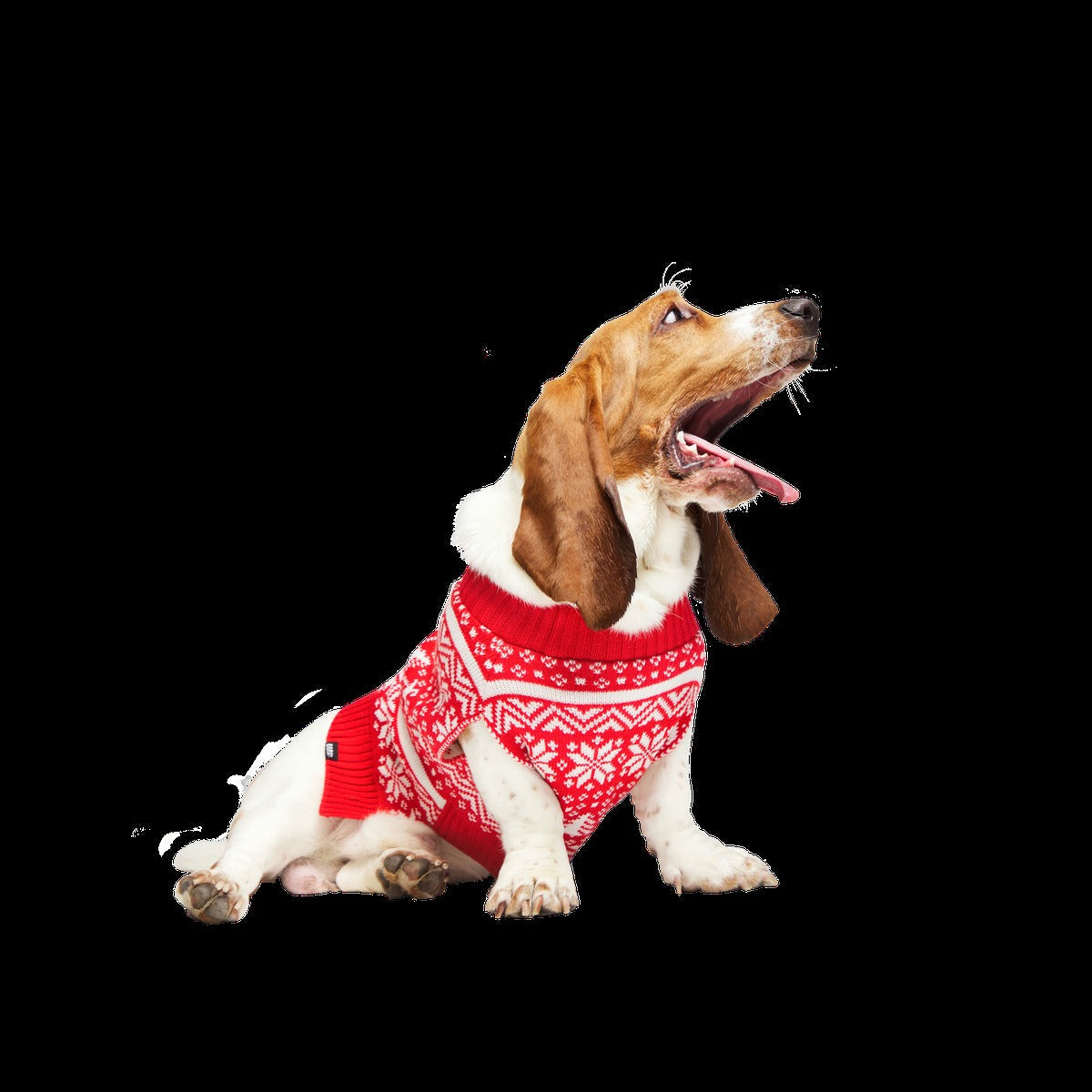 Holiday Sweater Wearable For Dogs