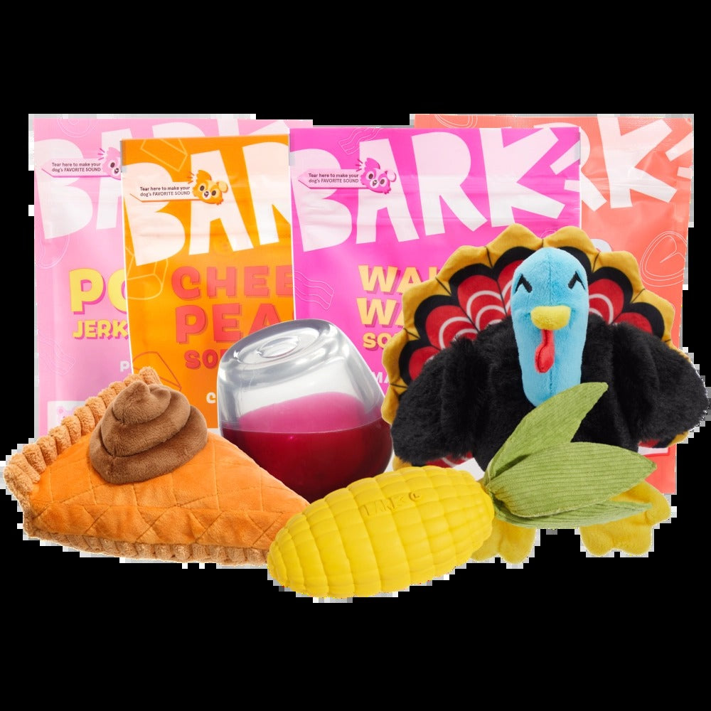 BARK 6 Month Subscription - FREE Extra Toys with Cardboard Box
