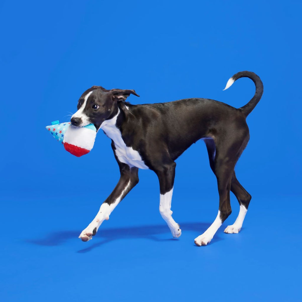Liberty Cone Plush Fetch Dog Toy