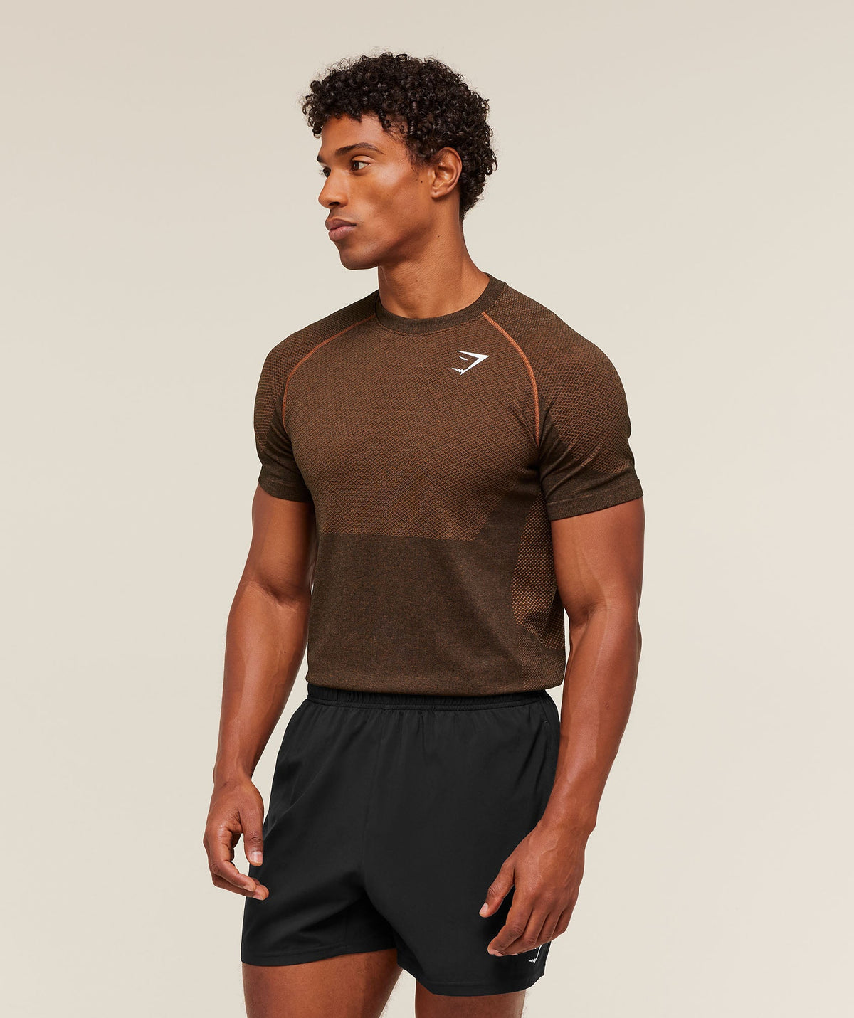 Gymshark Vital Seamless Tee - Black/Spiced Brown