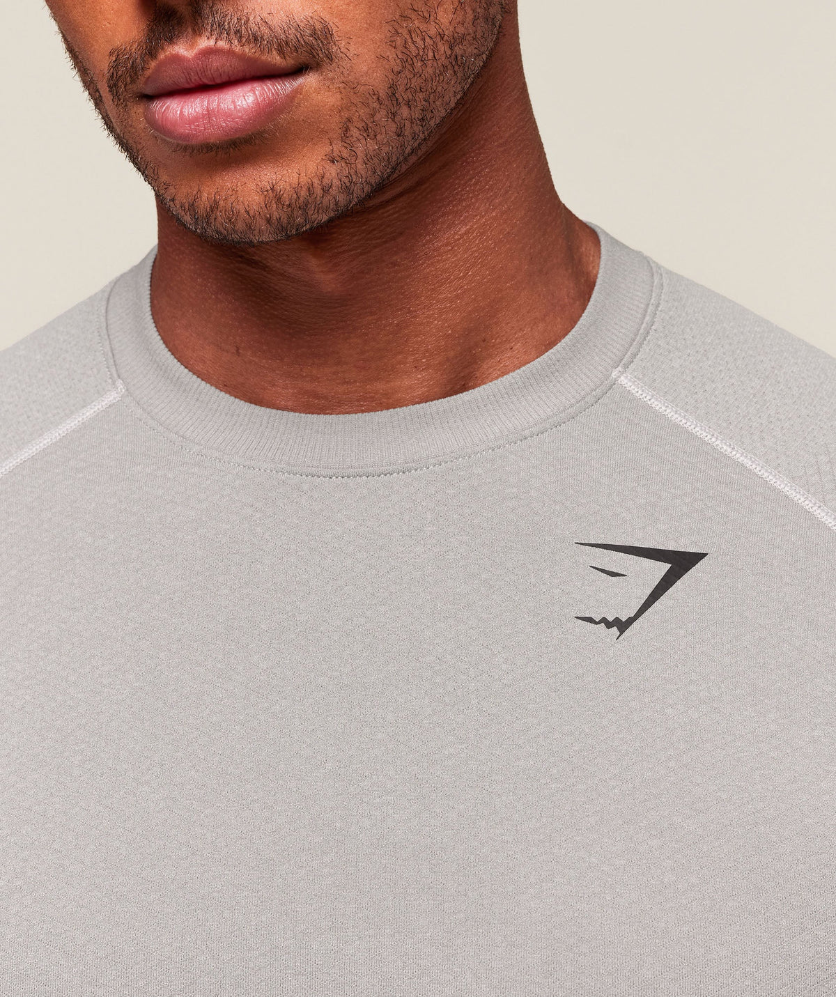 Gymshark Vital Seamless Tee - Light Grey/Smokey Grey