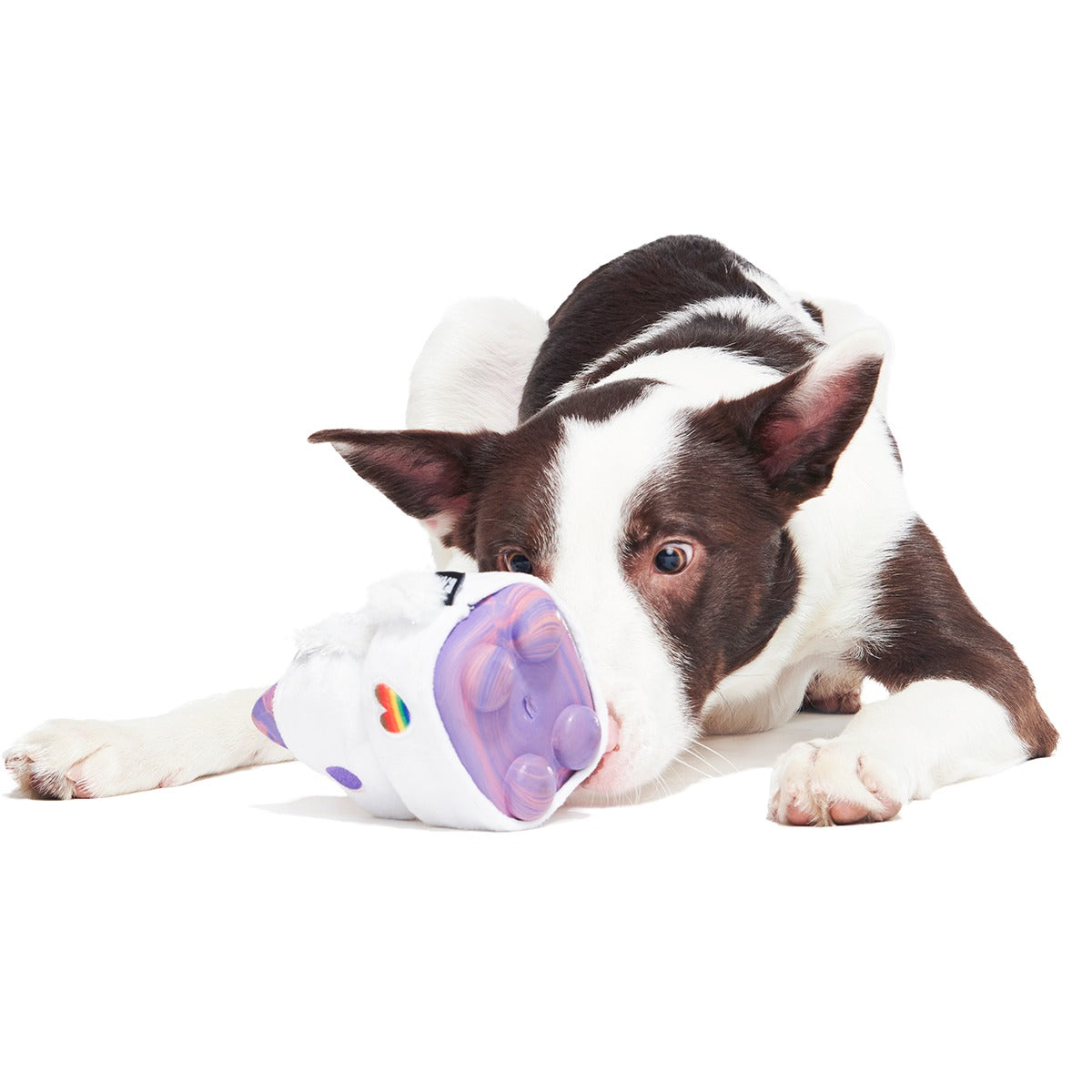 Disco Giddy Super Chewer Durable 2-in-1 Dog Toy