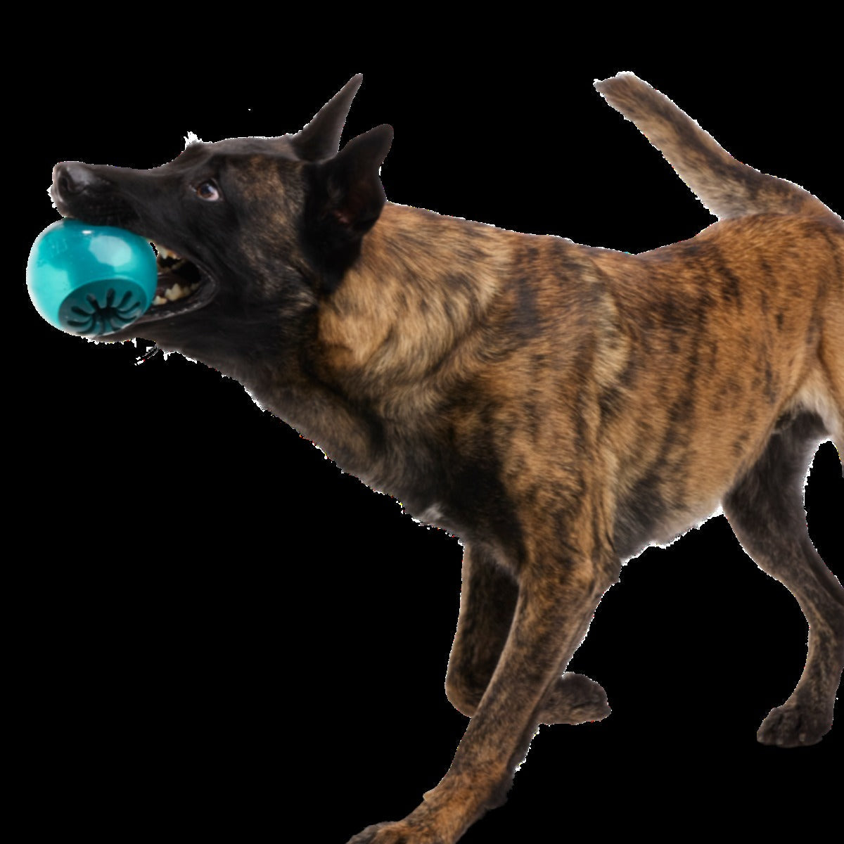 Teal Vortex Durable Super Chewer Enrichment + Fetch Dog Toy