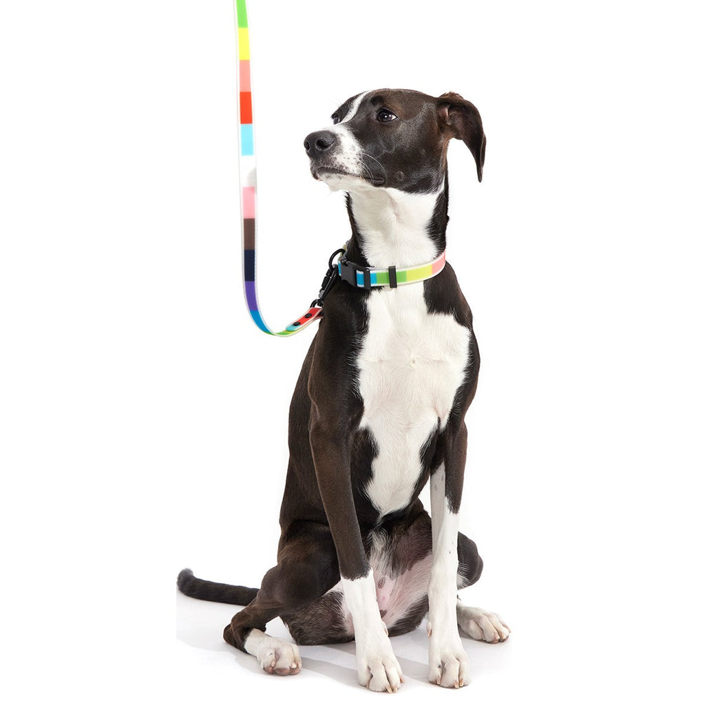 Pride Walking Gear Bundle