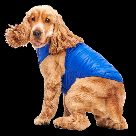 Puffer Dog Vest