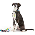 Pride Walking Gear Bundle
