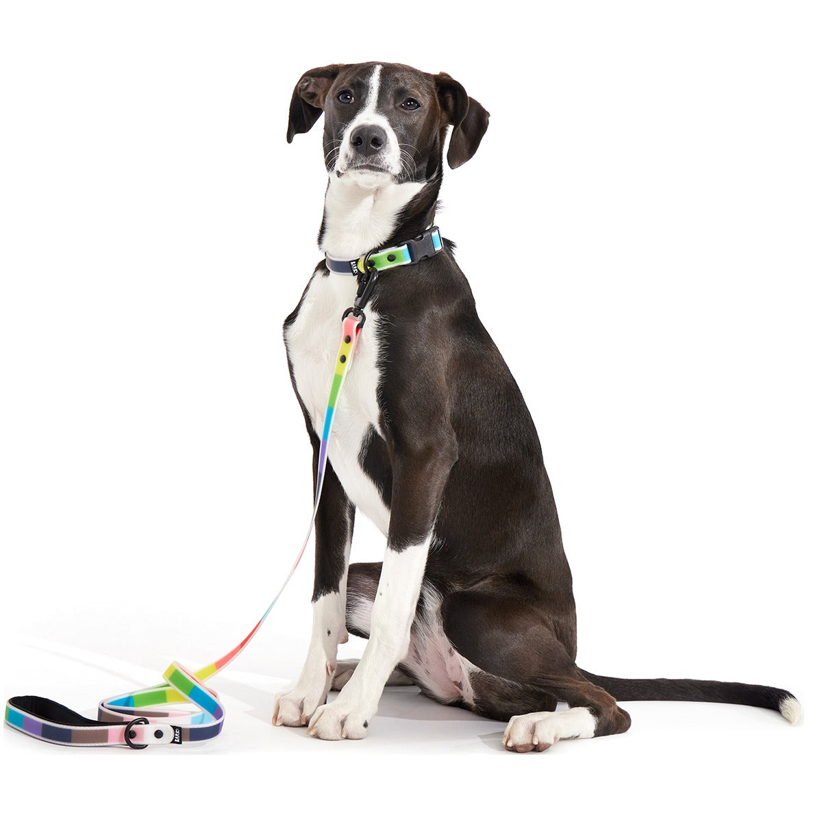 Pride Walking Gear Bundle